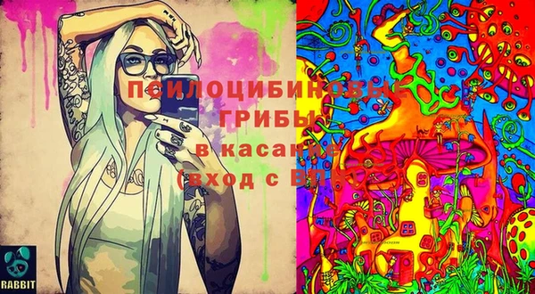 мдпв Алексеевка