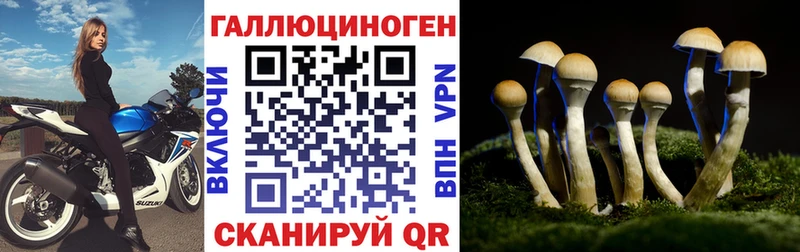 как найти закладки  Старый Оскол  Псилоцибиновые грибы GOLDEN TEACHER 